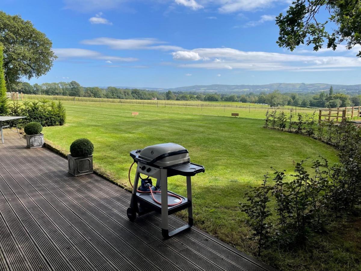 Stunning Cabin With Incredible Views Near Goodwood Rogate Екстер'єр фото