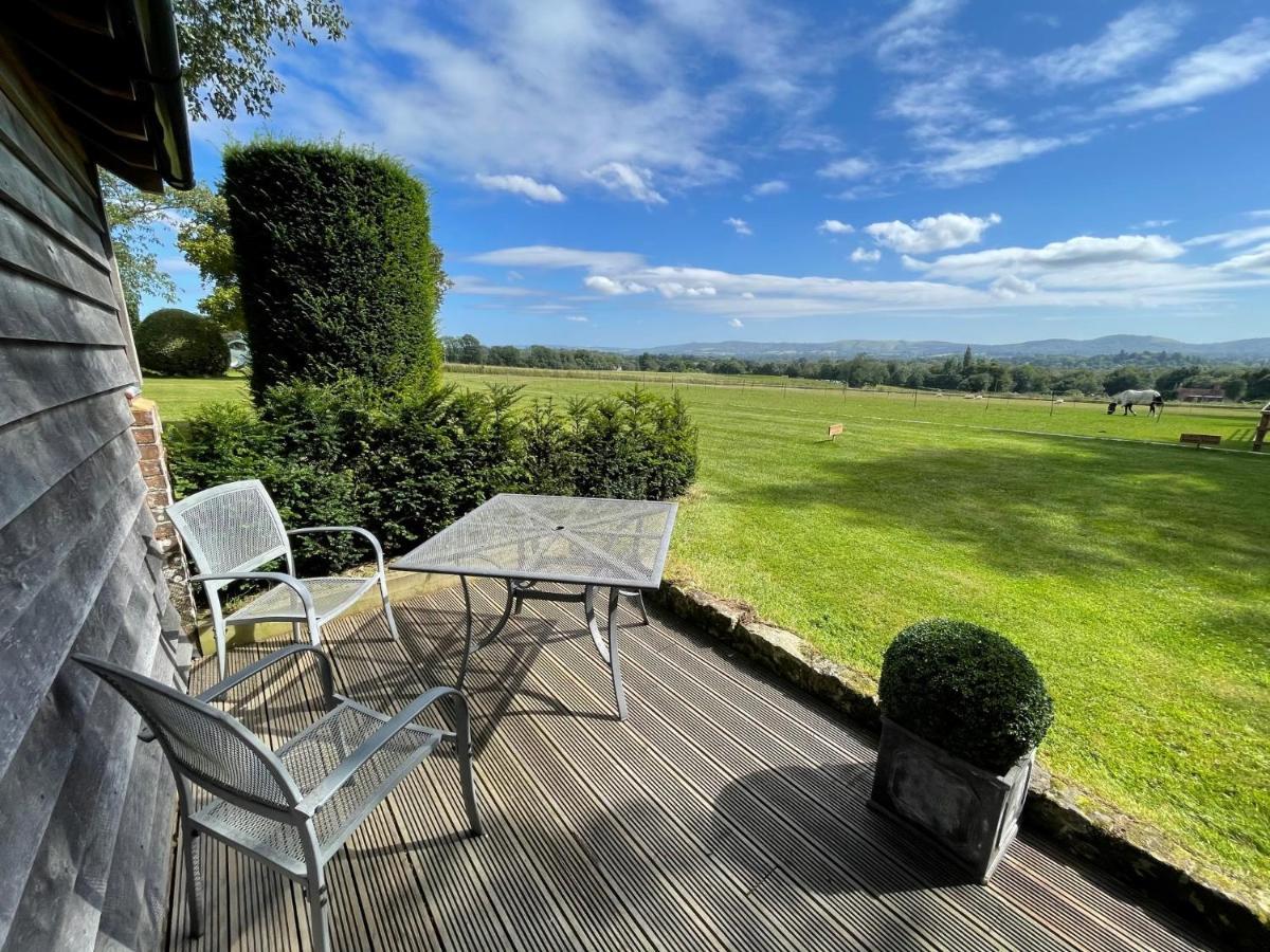 Stunning Cabin With Incredible Views Near Goodwood Rogate Екстер'єр фото