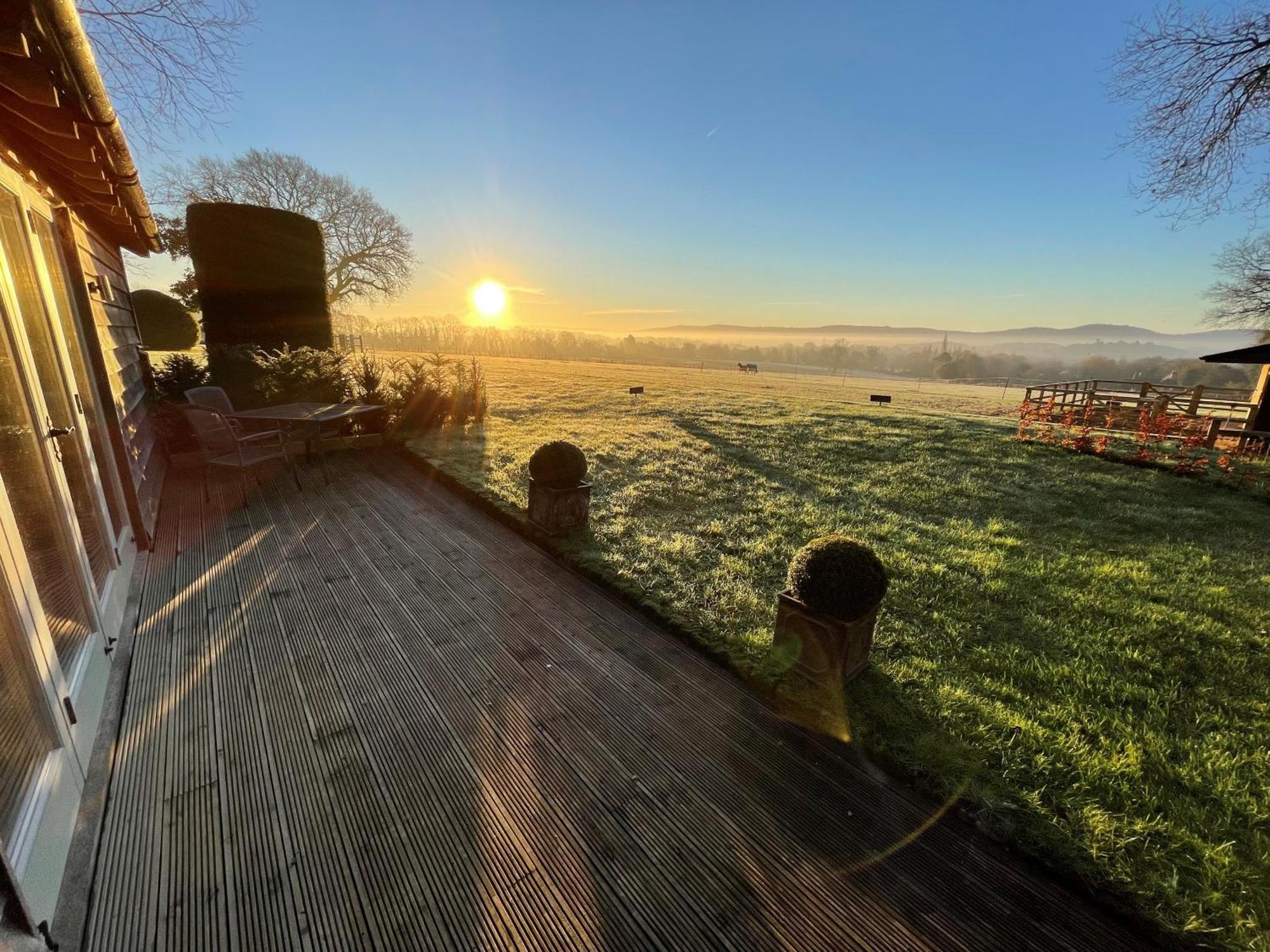 Stunning Cabin With Incredible Views Near Goodwood Rogate Екстер'єр фото