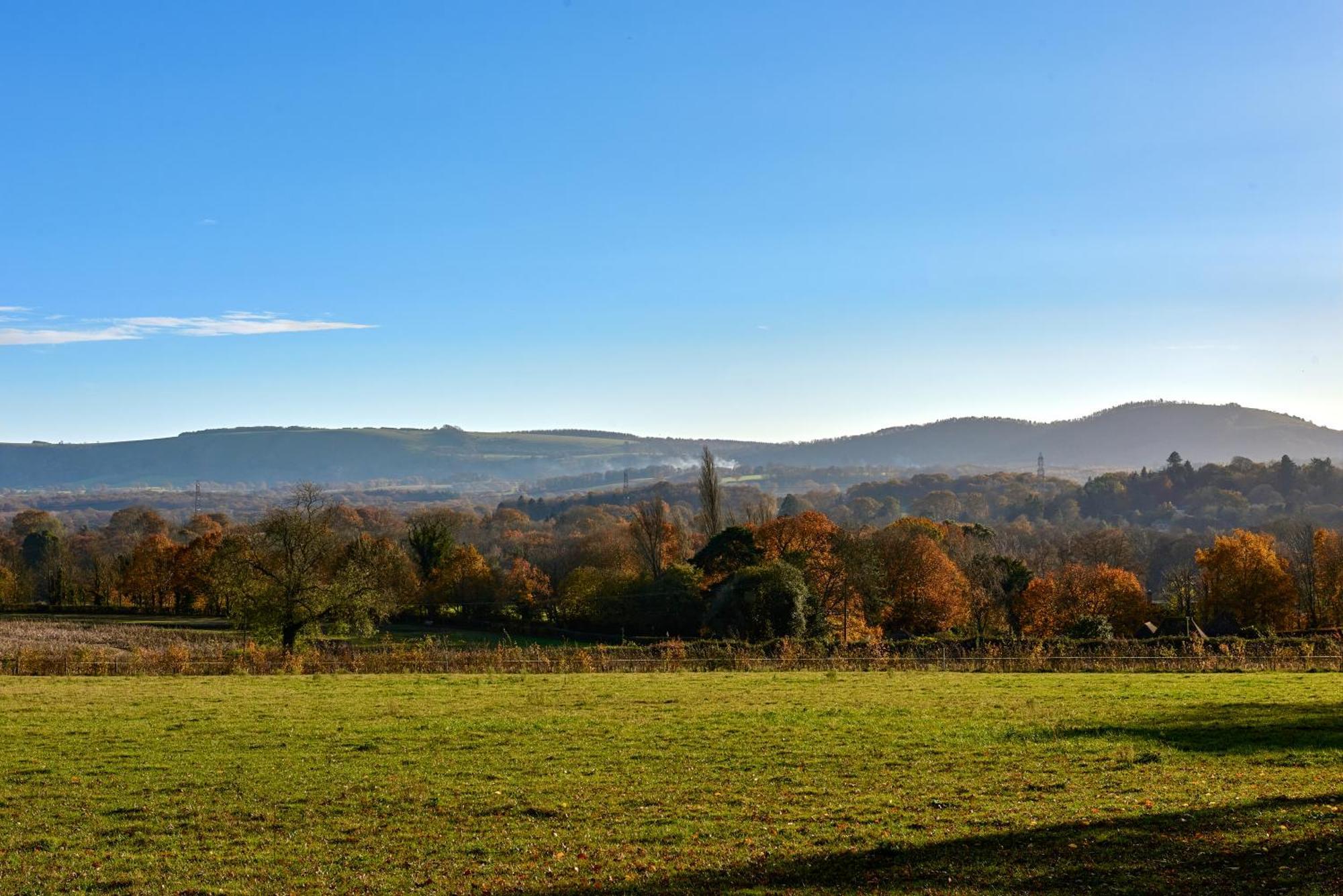 Stunning Cabin With Incredible Views Near Goodwood Rogate Екстер'єр фото