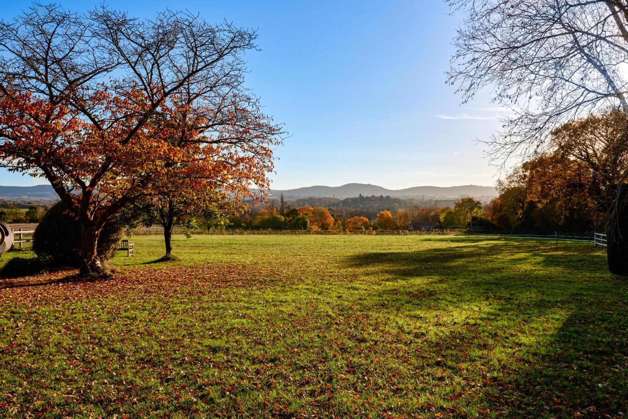 Stunning Cabin With Incredible Views Near Goodwood Rogate Екстер'єр фото