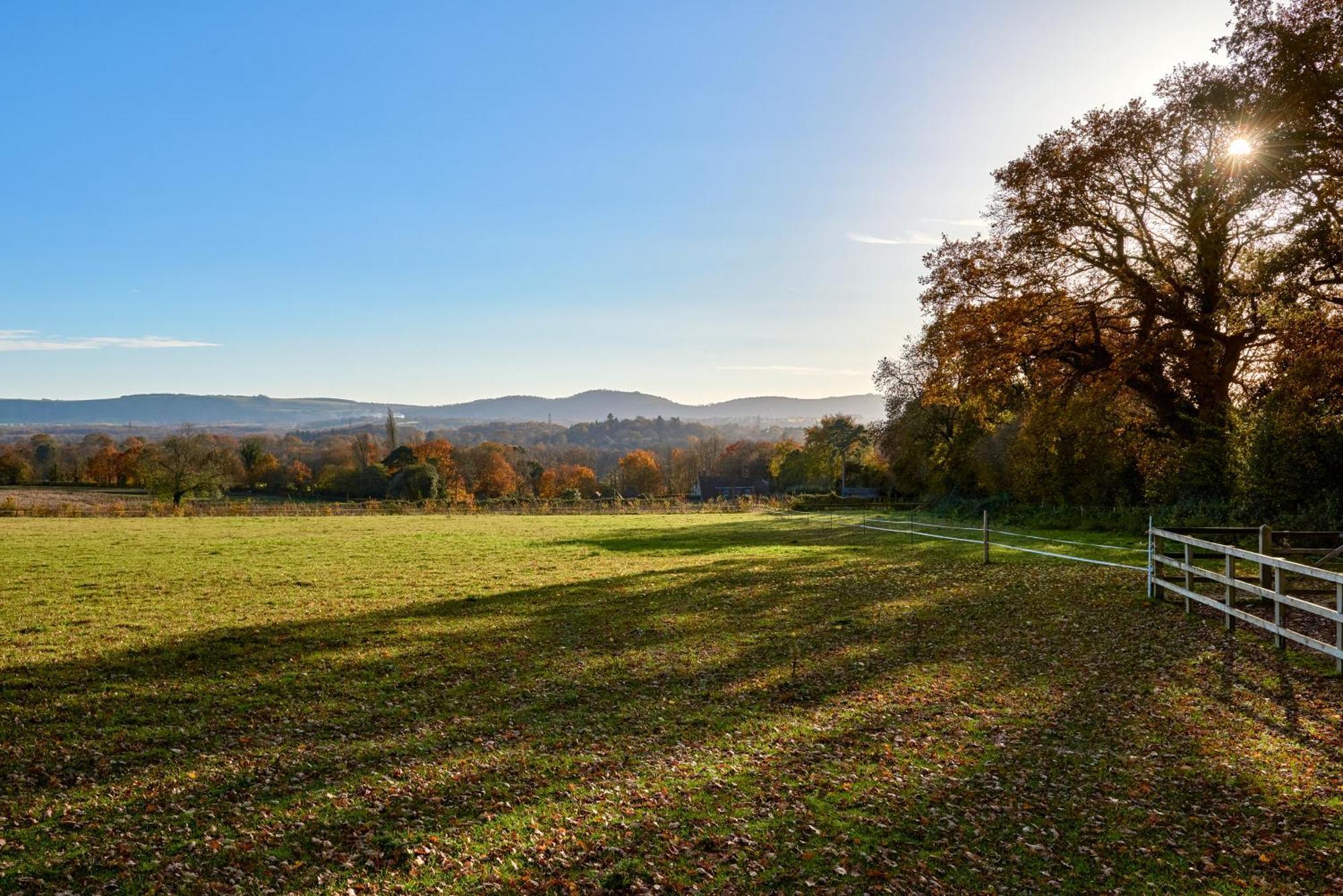 Stunning Cabin With Incredible Views Near Goodwood Rogate Екстер'єр фото
