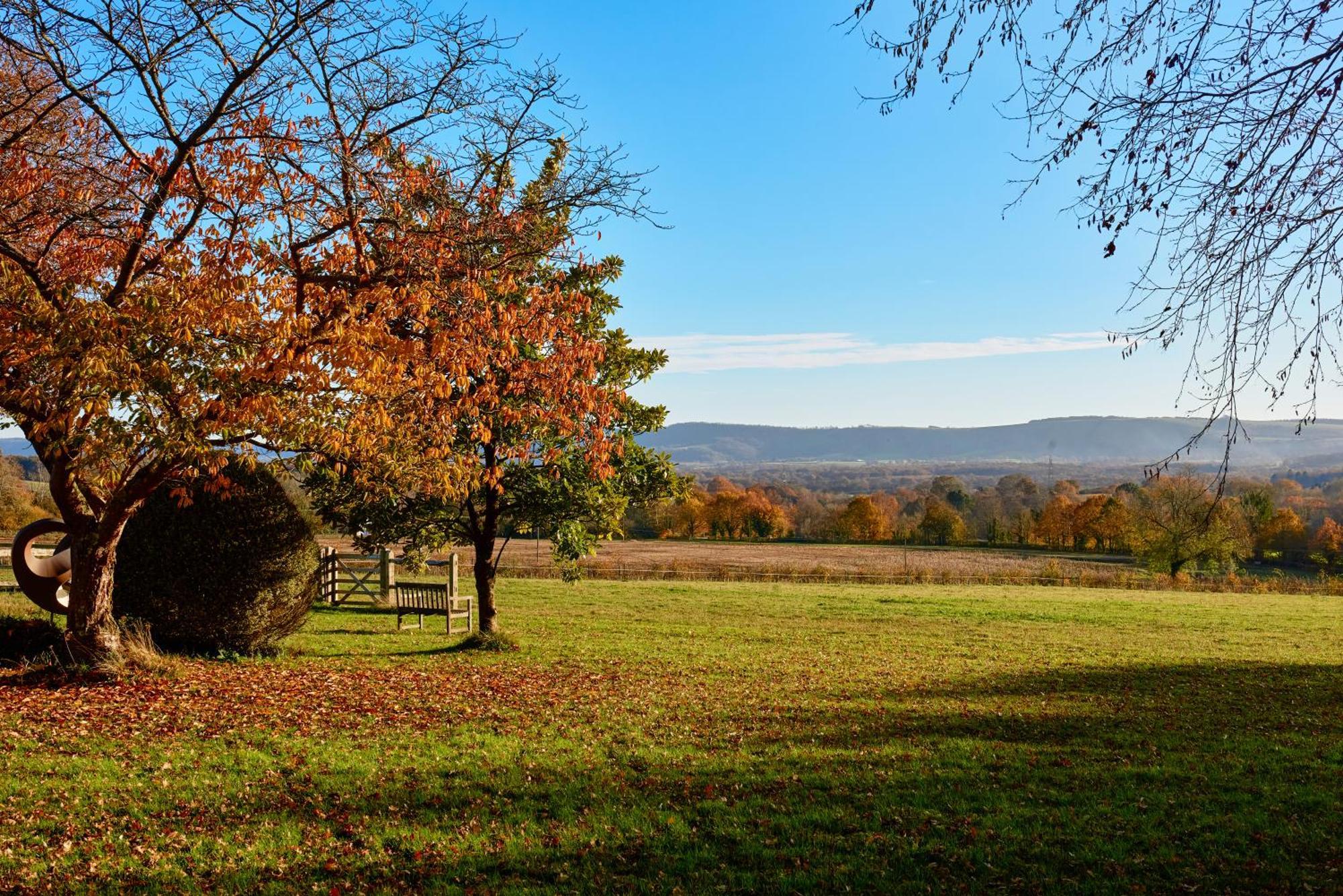 Stunning Cabin With Incredible Views Near Goodwood Rogate Екстер'єр фото