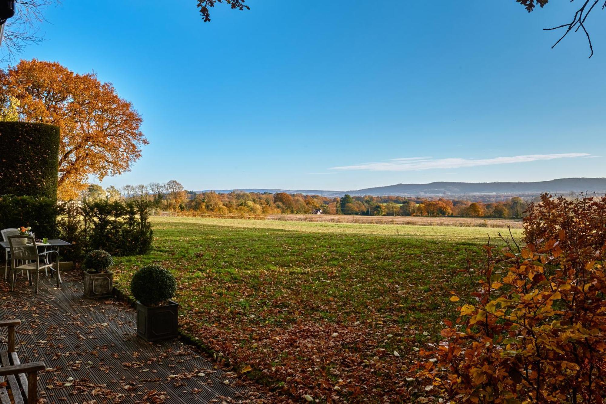 Stunning Cabin With Incredible Views Near Goodwood Rogate Екстер'єр фото