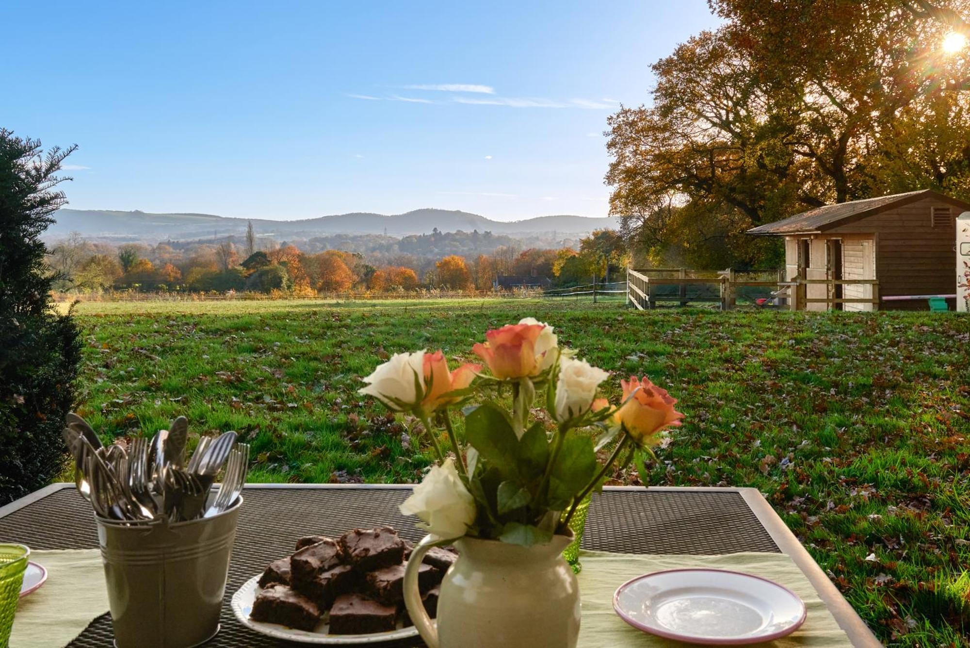 Stunning Cabin With Incredible Views Near Goodwood Rogate Екстер'єр фото