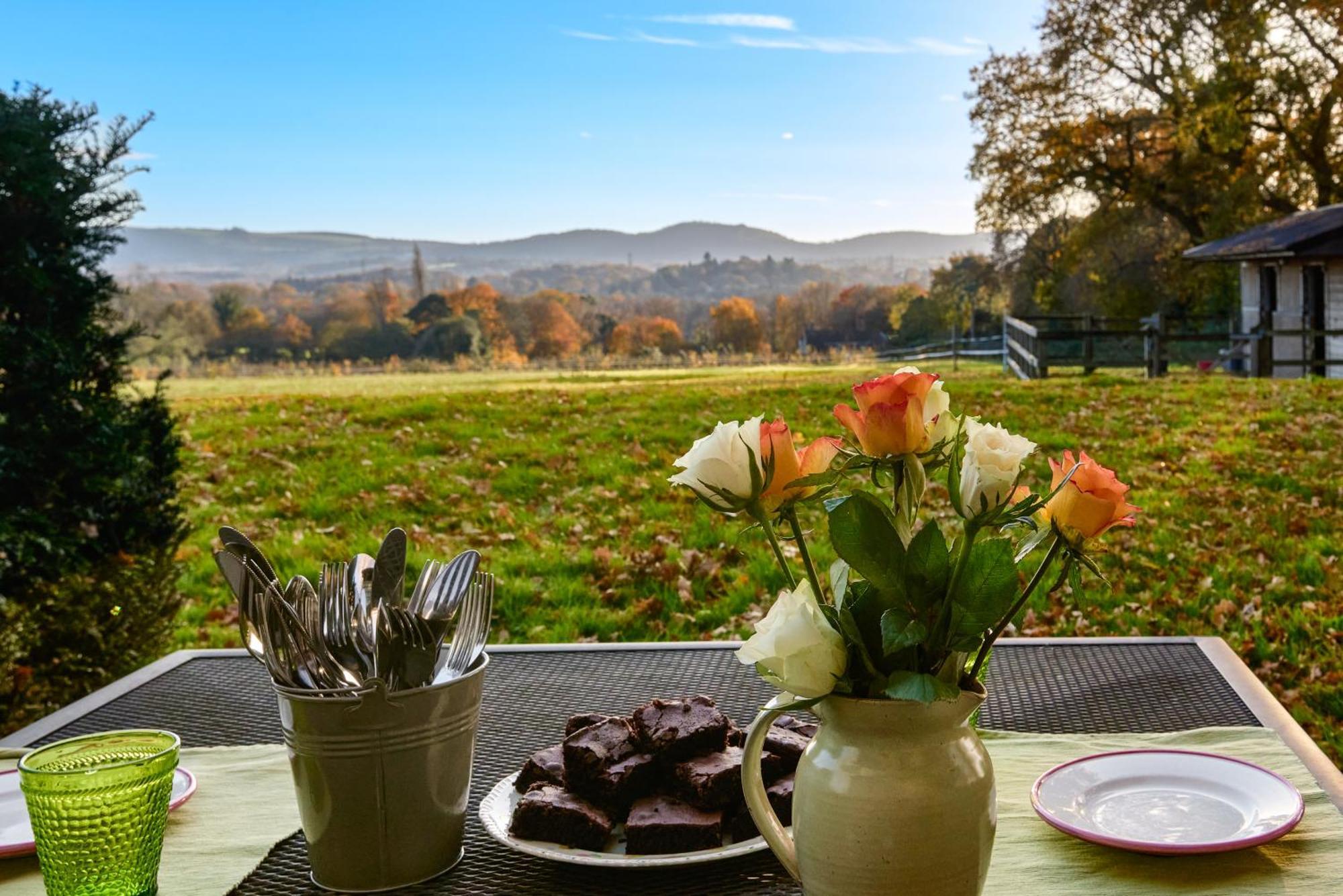 Stunning Cabin With Incredible Views Near Goodwood Rogate Екстер'єр фото